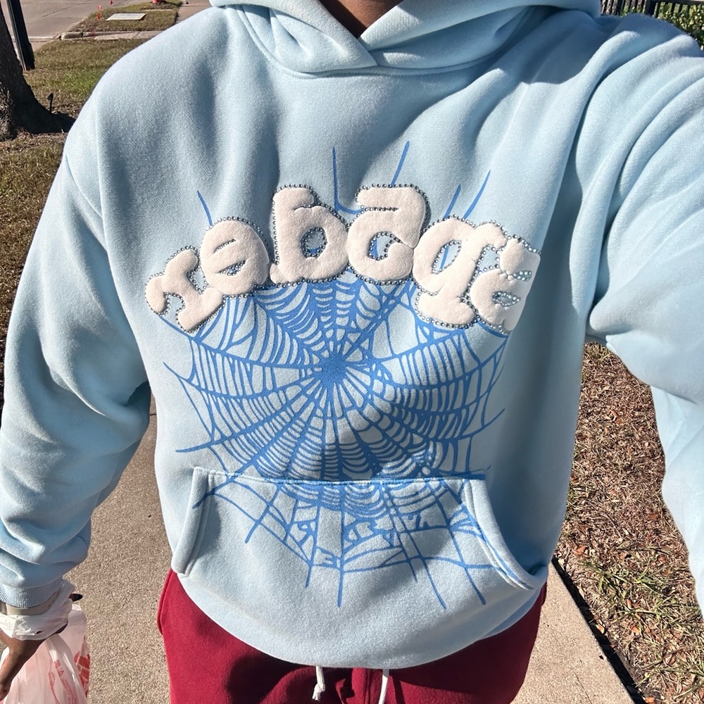 Light Blue Hoodie with Web Design
